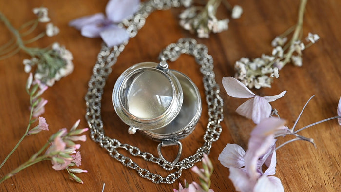 Curio locket