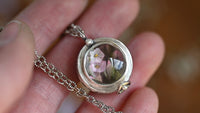 Curio locket