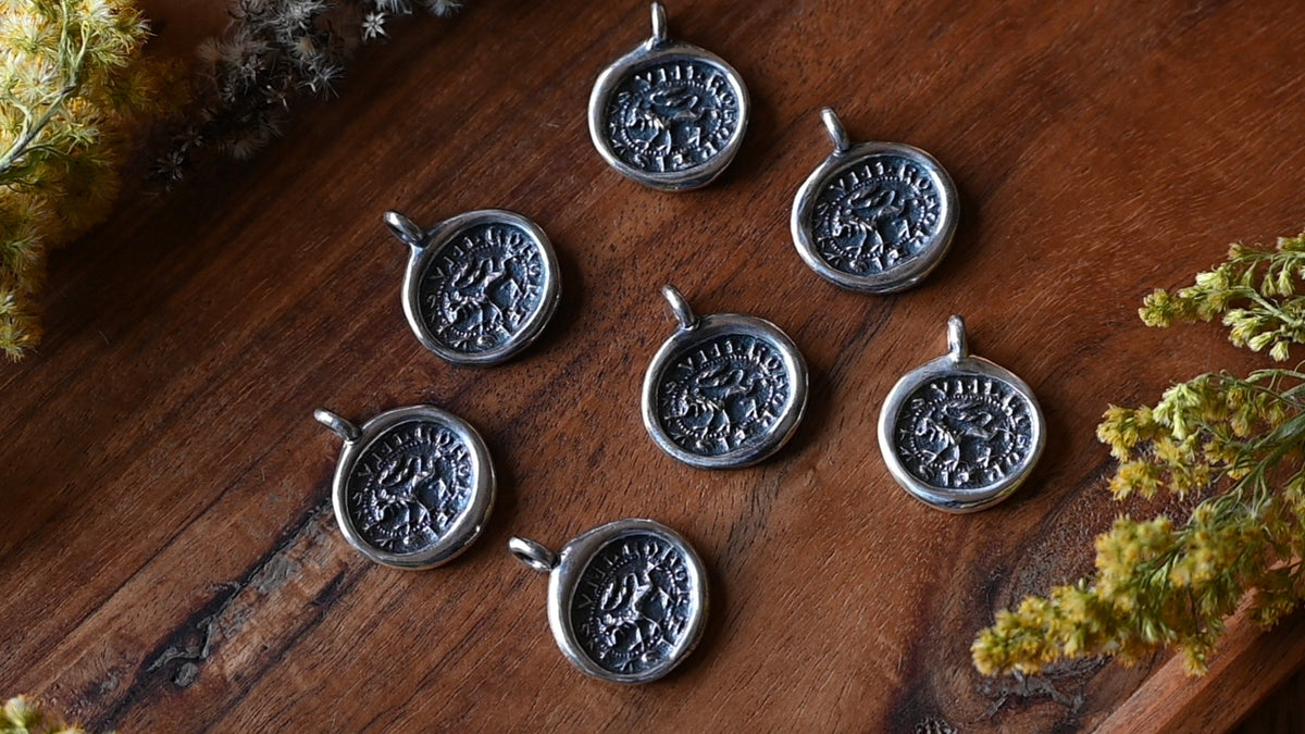 "Sum leo fortis" seal necklace