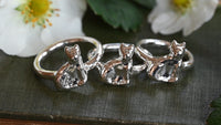 Cat ring