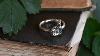 Cat ring